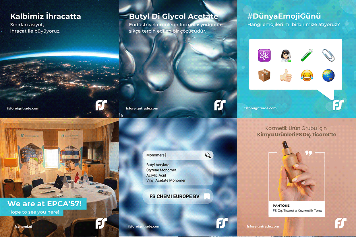 FS Chemi — Social Media Design & Management